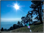 foto Salita dal Monte Tomba a Cima Grappa